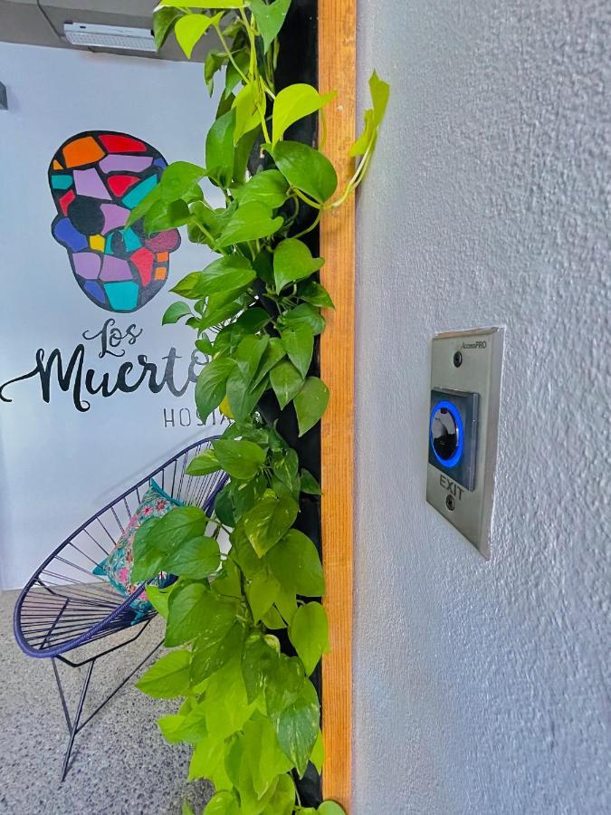 Los Muertos Hostal Puerto Vallarta Bagian luar foto